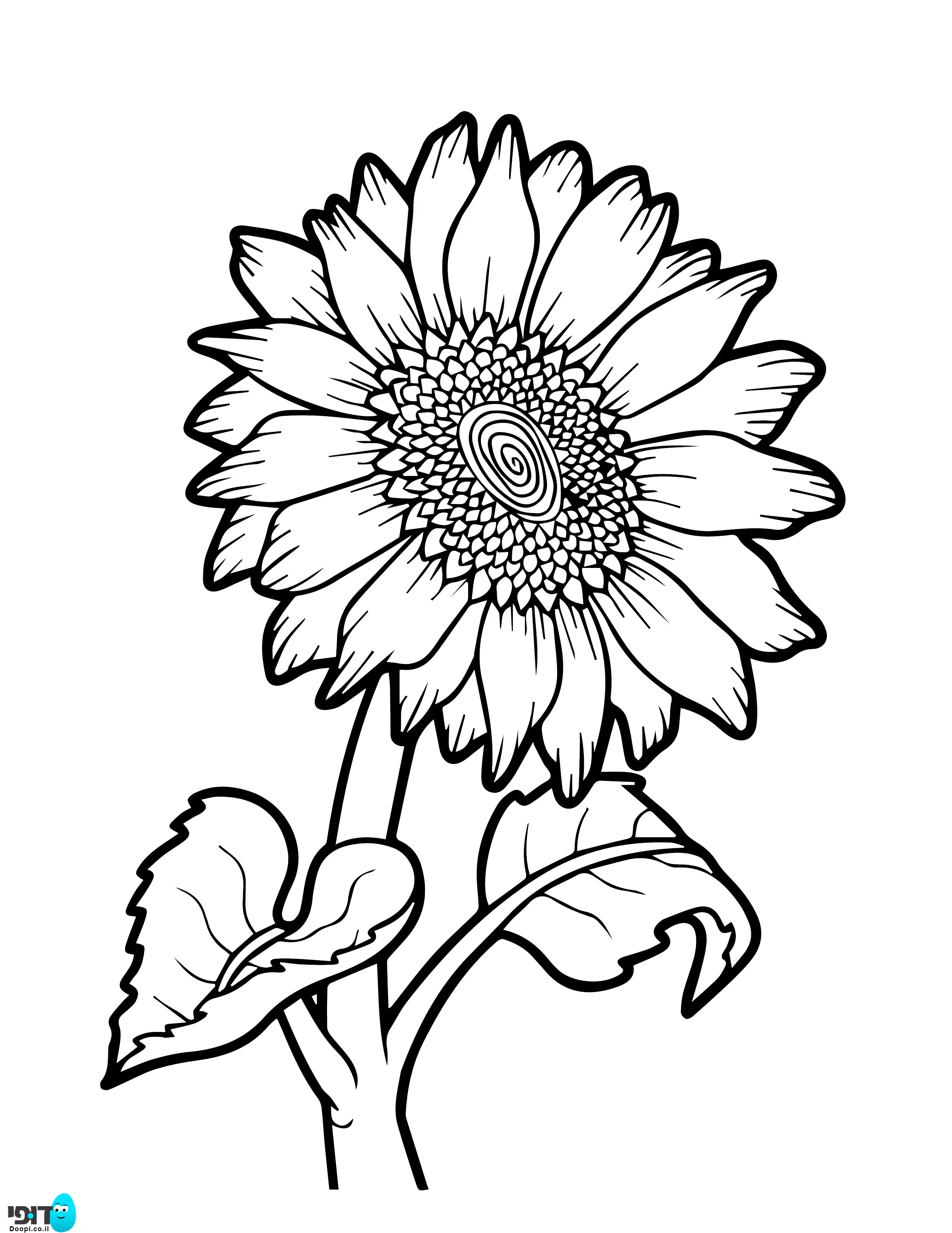 דף צביעה פרח חמניה