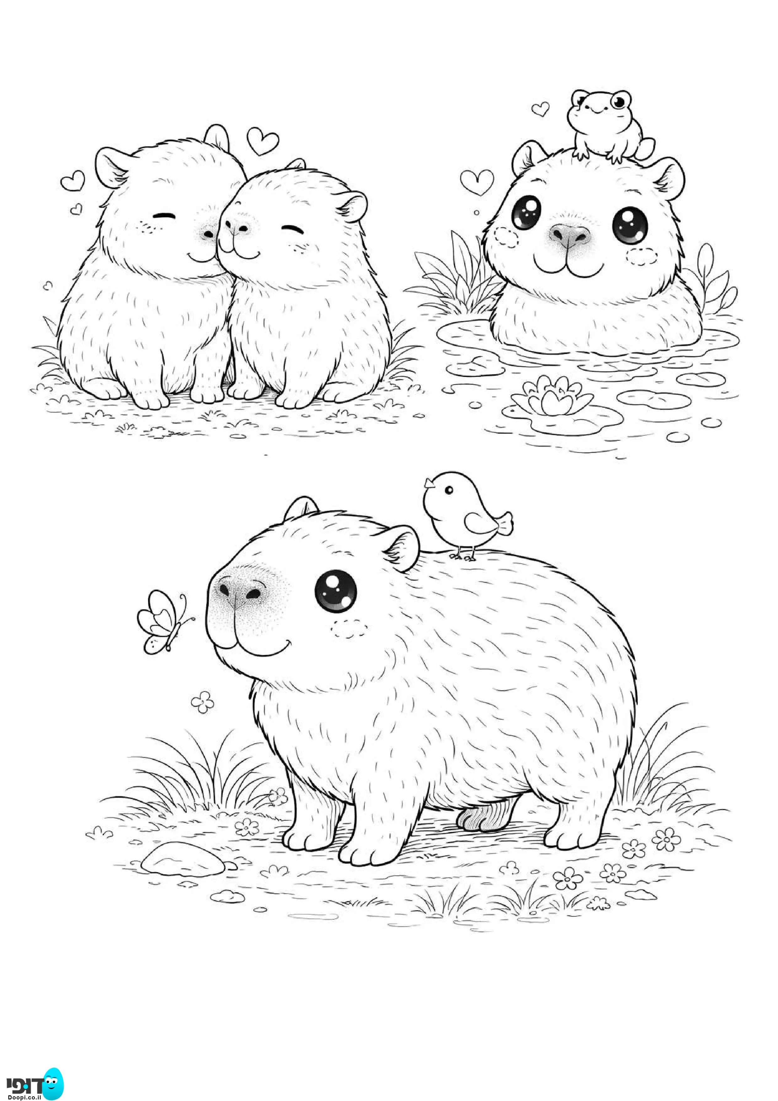 דף צביעה קפיברות 